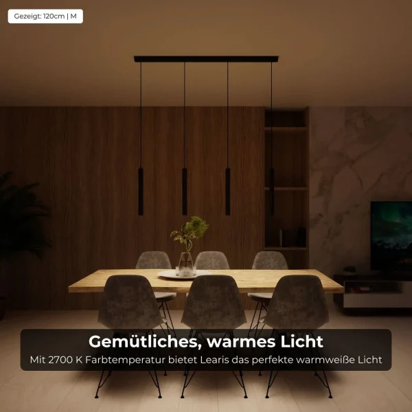 Learis Designer Pendelleuchte – Bild 2