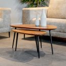 Couchtisch Flare | 2er Set | Mangoholz